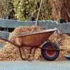 Preparing Your Garden For Spring Webp Net Resizeimage 32 - Garden Express Australia