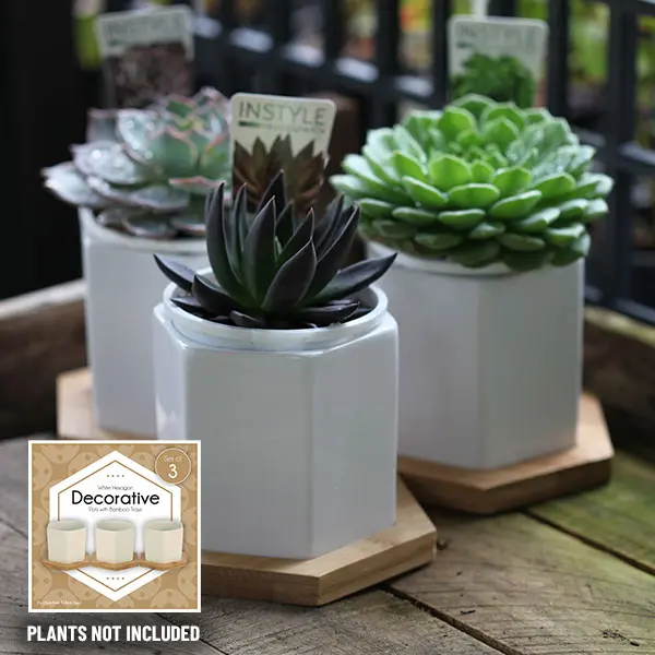 Hexagonal Ceramic Pot – Trio (3 X 100mm) Hexagonal Ceramic Pot – Trio (3 X 100mm)