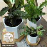 Hexagonal Ceramic Pot – Multisize Set Of 3 Hexagonal Ceramic Pot – Multisize Set Of 3