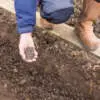 Liquid vs. Solid Fertilizer 16 - Garden Express Australia