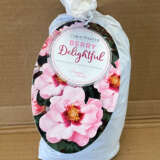 Rose Berry Delightful