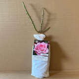 Rose Wedding Bells