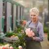Roses Diseases Roses Diseases