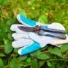 Pruning Roses for Winter 3 - Garden Express Australia