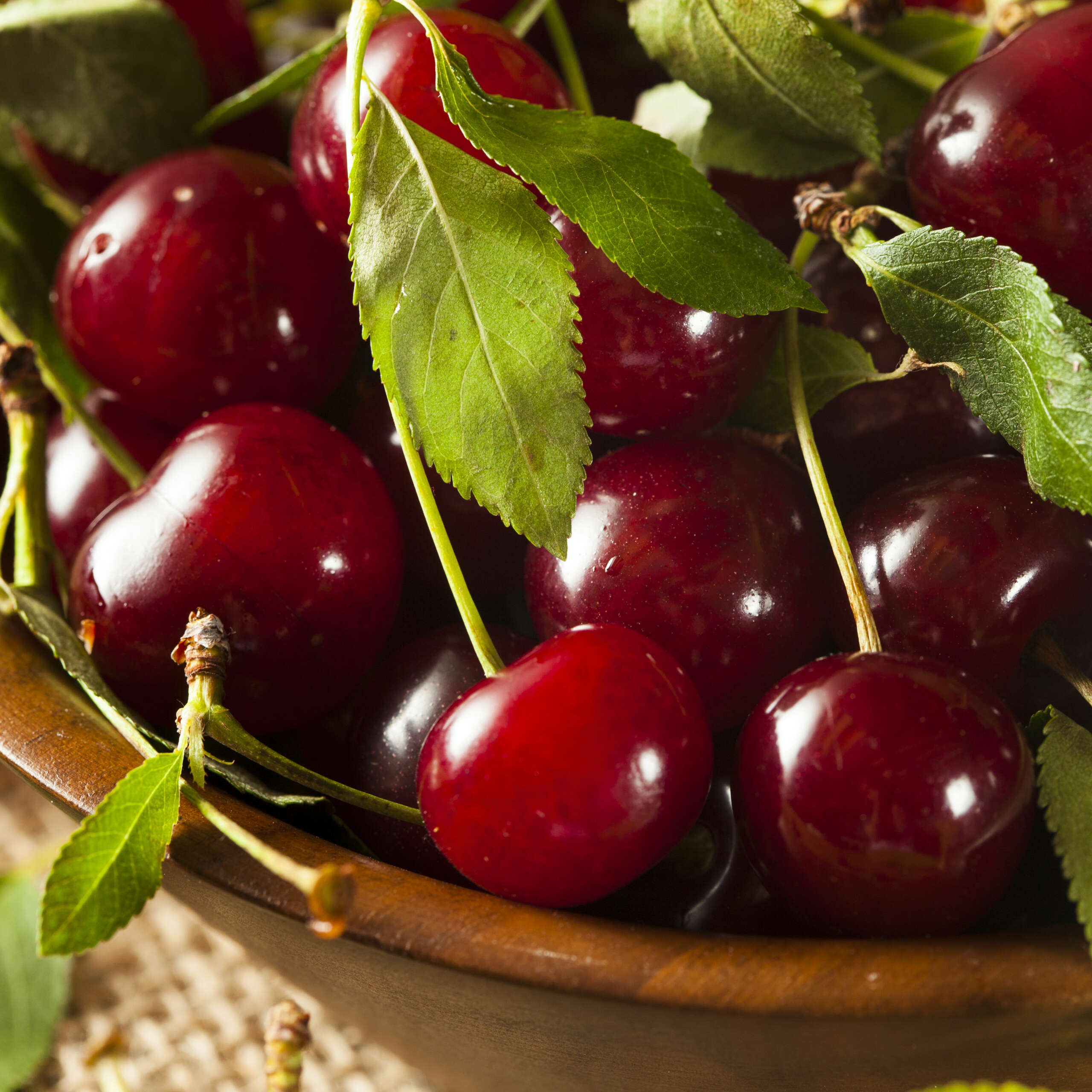 Cherry Starkrimson Cherry Starkrimson