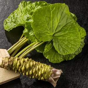 Wasabi Wasabi