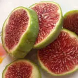 Fig White Adriatic 2021 Trefigwad - Garden Express Australia