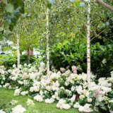 Hydrangea Sundae Fraise (Pbr) Hydrangea Sundae Fraise (Pbr)
