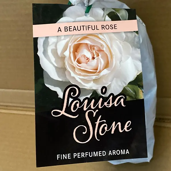 Rose Louisa Stone Rose Louisa Stone