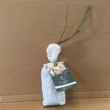 David Austin Rose Claire Austin (Pbr) David Austin Rose Claire Austin (Pbr)