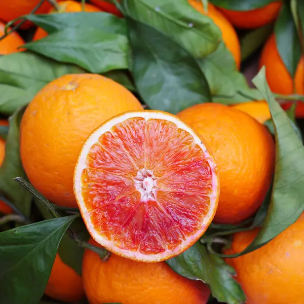 Blood Orange Blood Orange