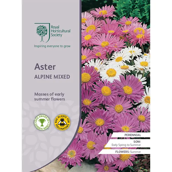Seed – Rhs Aster Alpine Mxed Seed – Rhs Aster Alpine Mxed