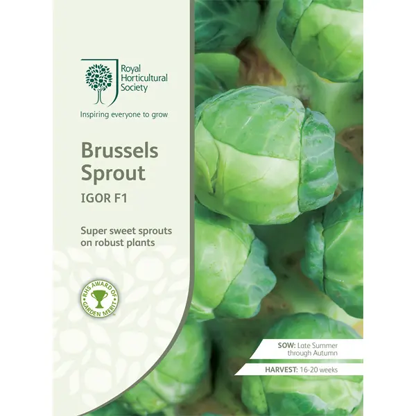 Seed – Rhs Brussels Sprouts Igor F1 Seed – Rhs Brussels Sprouts Igor F1