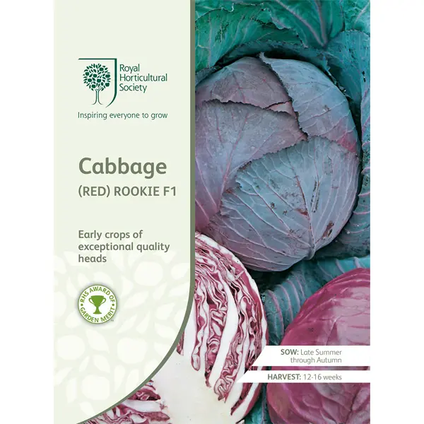Seed – Rhs Cabbage Red Rookie F1 Seed – Rhs Cabbage Red Rookie F1
