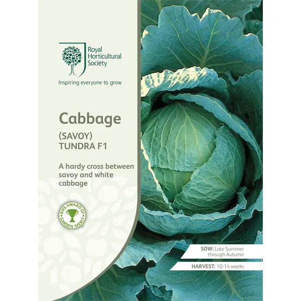 Seed – Rhs Cabbage Savoy Tundra F1 Seed – Rhs Cabbage Savoy Tundra F1