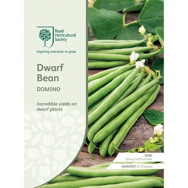 Veggie Seed Starter Kit With Bonus Activity Bag Veggie Seed Starter Kit With Bonus Activity Bag
