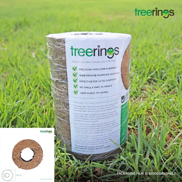 Treerings Small- Pack Of 6 Treerings Small- Pack Of 6