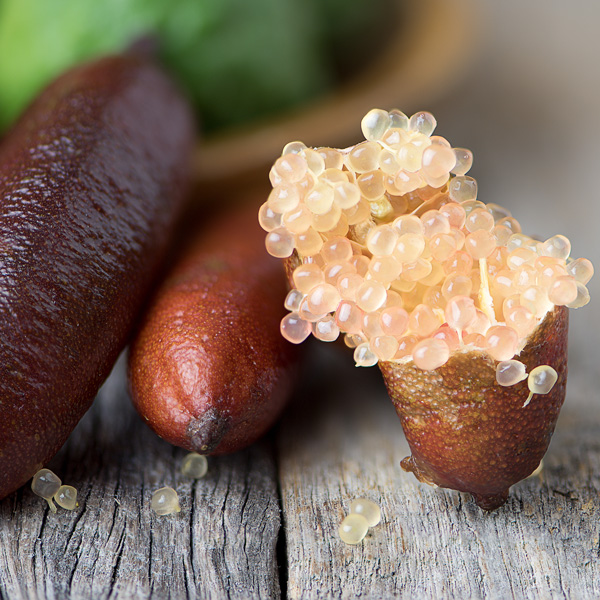 Finger Lime Pink Ice Finger Lime Pink Ice