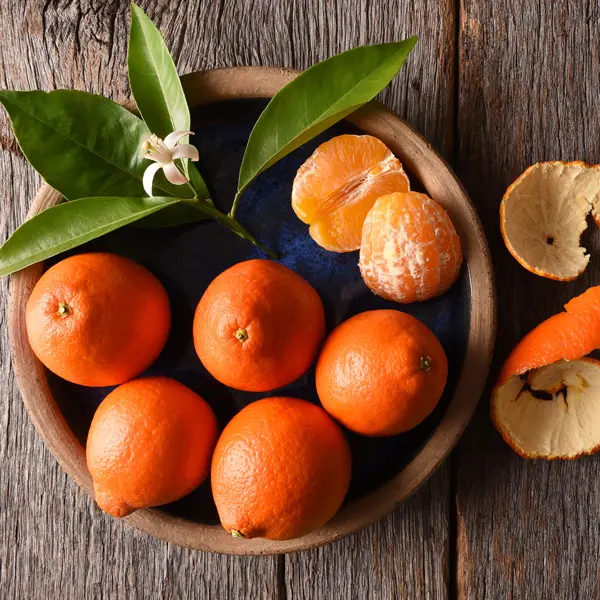 Tangelo Minneola Tangelo Minneola