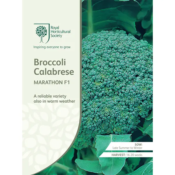 Seed – Rhs Broccoli Calabrese Marathon F1 Seed – Rhs Broccoli Calabrese Marathon F1