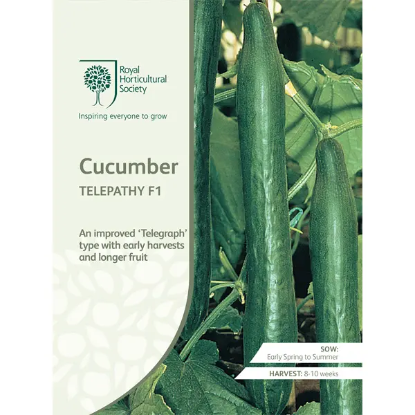 Seed – Rhs Cucumber Telepathy F1 Seed – Rhs Cucumber Telepathy F1