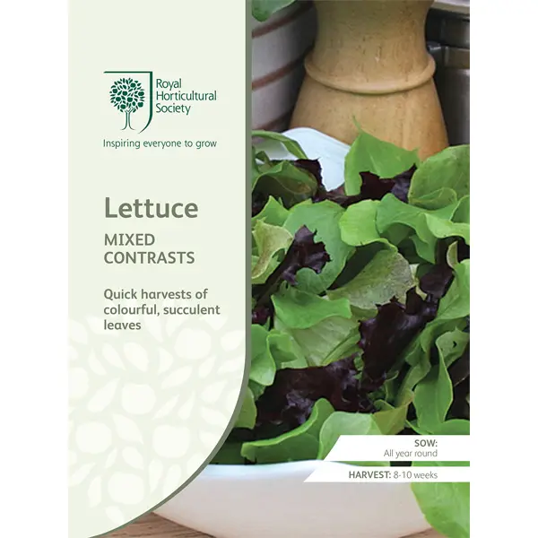 Seed – Rhs Lettuce Mixed Contrasts Seed – Rhs Lettuce Mixed Contrasts