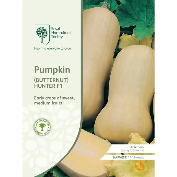 Seed – Rhs Pumpkin (butternut) Hunter F1 Seed – Rhs Pumpkin (butternut) Hunter F1