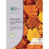 Flower Seed Starter Kit With Bonus Activity Bag Flower Seed Starter Kit With Bonus Activity Bag