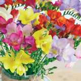 Freesia Hadeco Mixed Pkfrehmx 2017 - Garden Express Australia