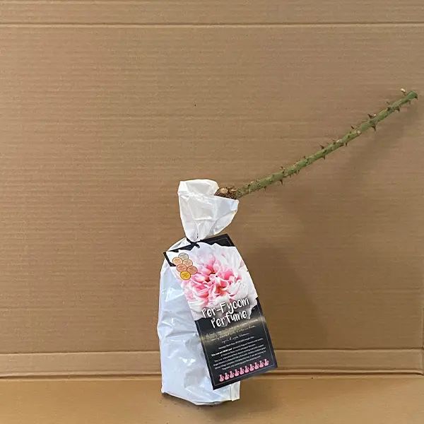 Rose Per-Fyoom Perfume Rose Per-Fyoom Perfume