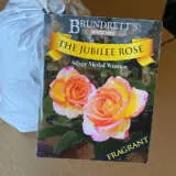 Rose The Jubilee Rose The Jubilee