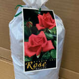 Rose Ballet Rose Ballet