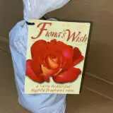 Rose Fionas Wish Rose Fionas Wish