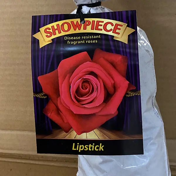 Rose Showpiece Lipstick (Pbr) Rose Showpiece Lipstick (Pbr)