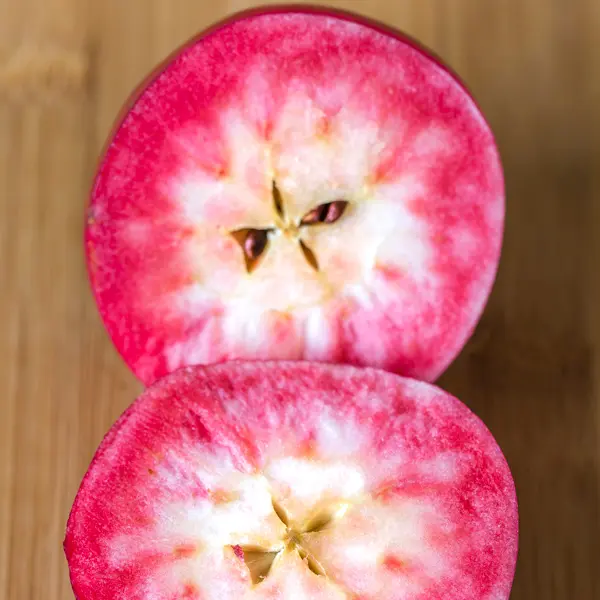 Dwarf Apple Magnus Summer Surprise (Pbr) Dwarf Apple Magnus Summer Surprise (Pbr)