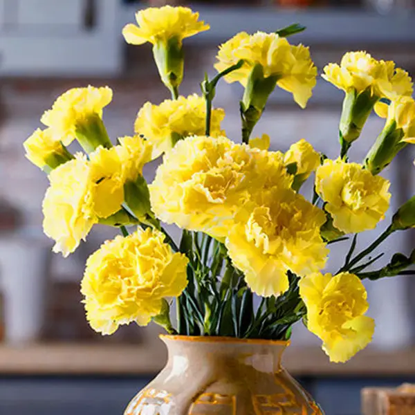 Carnation Pinata Gold Carnation Pinata Gold