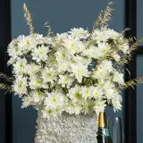 Chrysanthemum Collection 2 Chrysanthemum Collection 2
