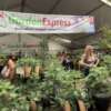 Melbourne International Flower & Garden Show 2026: A Must-See Event for Garden Lovers Ge At Flower Show - Garden Express Australia