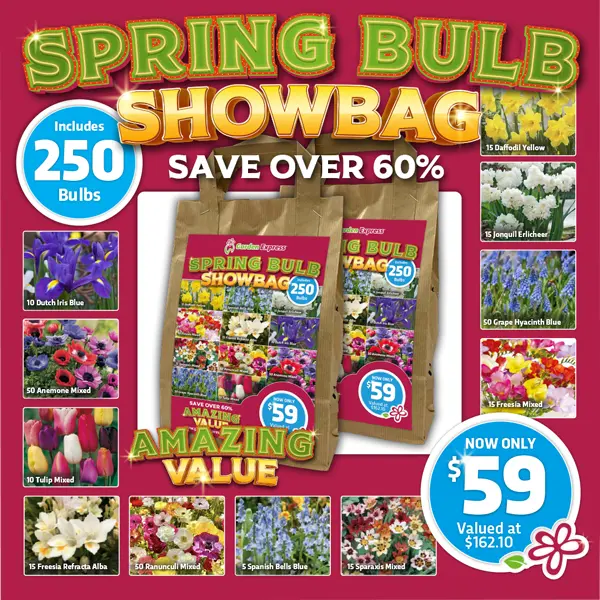 Spring Mega Show Bag 250
