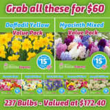 Flower Fest Value Pack Bundle 2 Flower Fest Value Pack Bundle 2