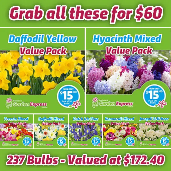 Flower Fest Value Pack Bundle 2 Flower Fest Value Pack Bundle 2