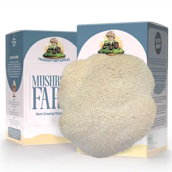 Mushroom Kit Lions Mane Mushroom Kit Lions Mane