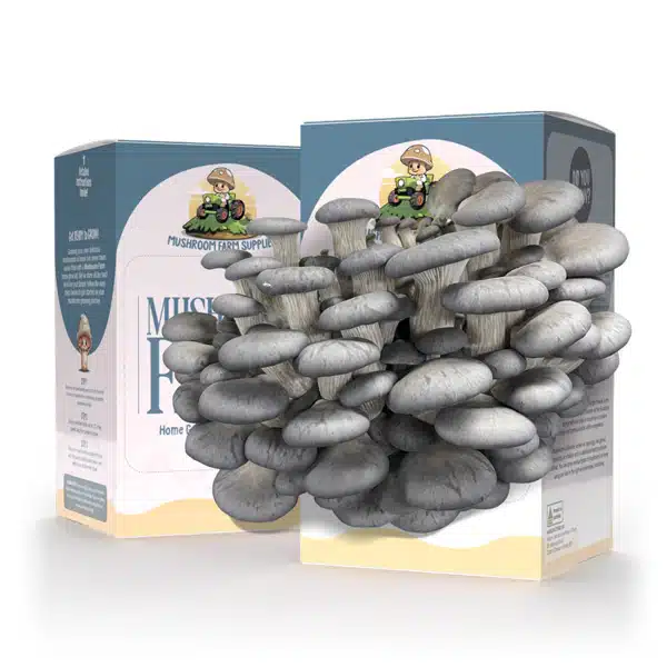 Mushroom Kit Monster Blue Oyster Mushroom Kit Monster Blue Oyster