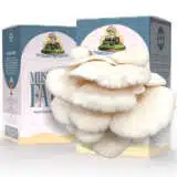 White Oyster Mushroom Kit Kitmuswoy - Garden Express Australia