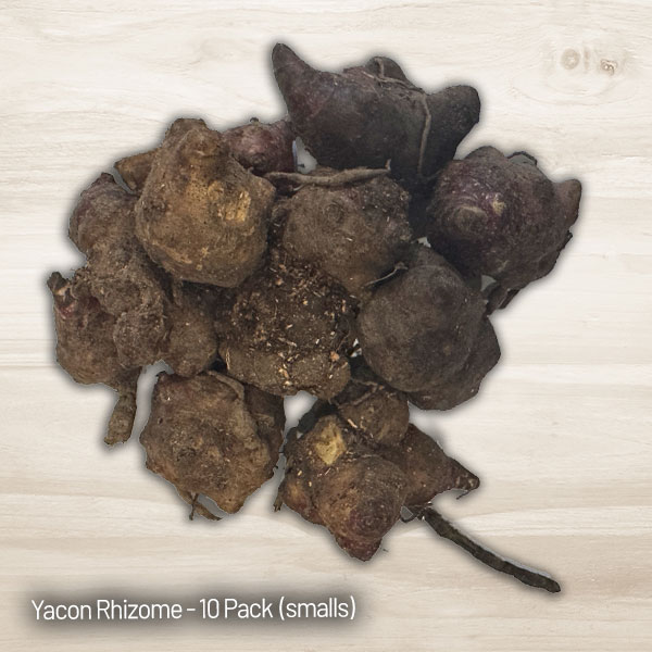 Yacon- Peruvian Ground Apple (Smalls) Yacon- Peruvian Ground Apple (Smalls)