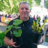 Grow Your Own Wasabi And Horseradish Colwashr - Garden Express Australia