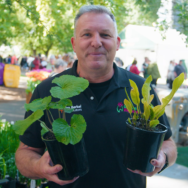 Grow Your Own Wasabi And Horseradish Grow Your Own Wasabi And Horseradish
