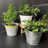 Tin Pots- Set Of 3 Tin Pots- Set Of 3