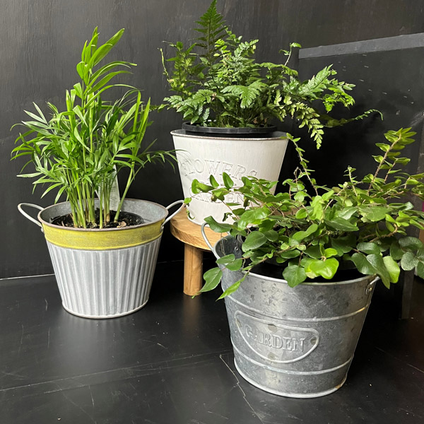 Tin Pots- Set Of 3 Tin Pots- Set Of 3