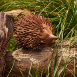 Echidna Large Rust 2 - Garden Express Australia